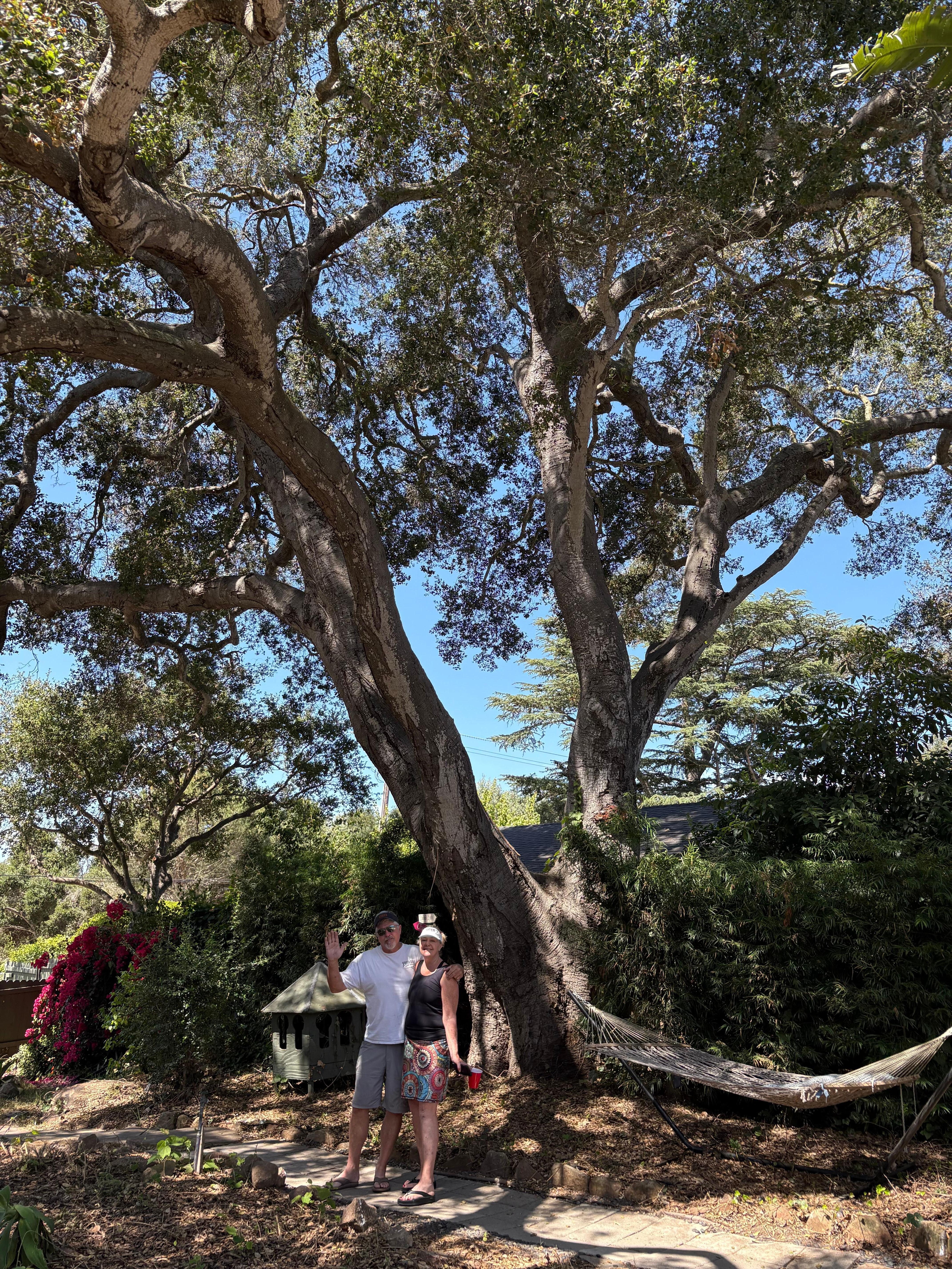 Us sadly leaving the property, under the big oak tree.