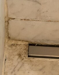Mouldy Bathroom