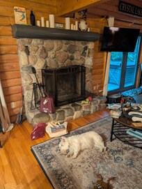 Dog friendly!