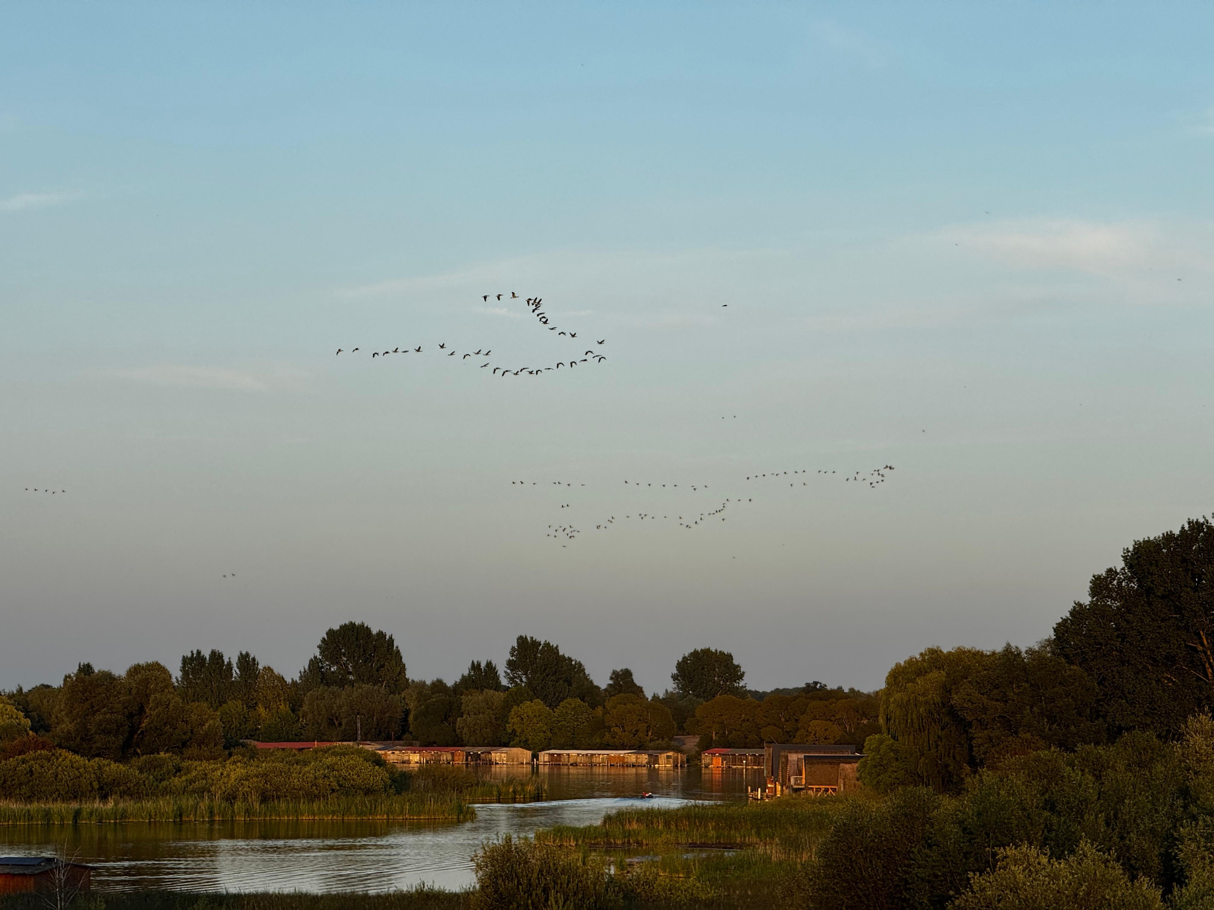 Blick auf die Müritz von der Dachterrasse. Ein Traum!
