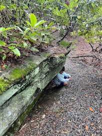 Trail
