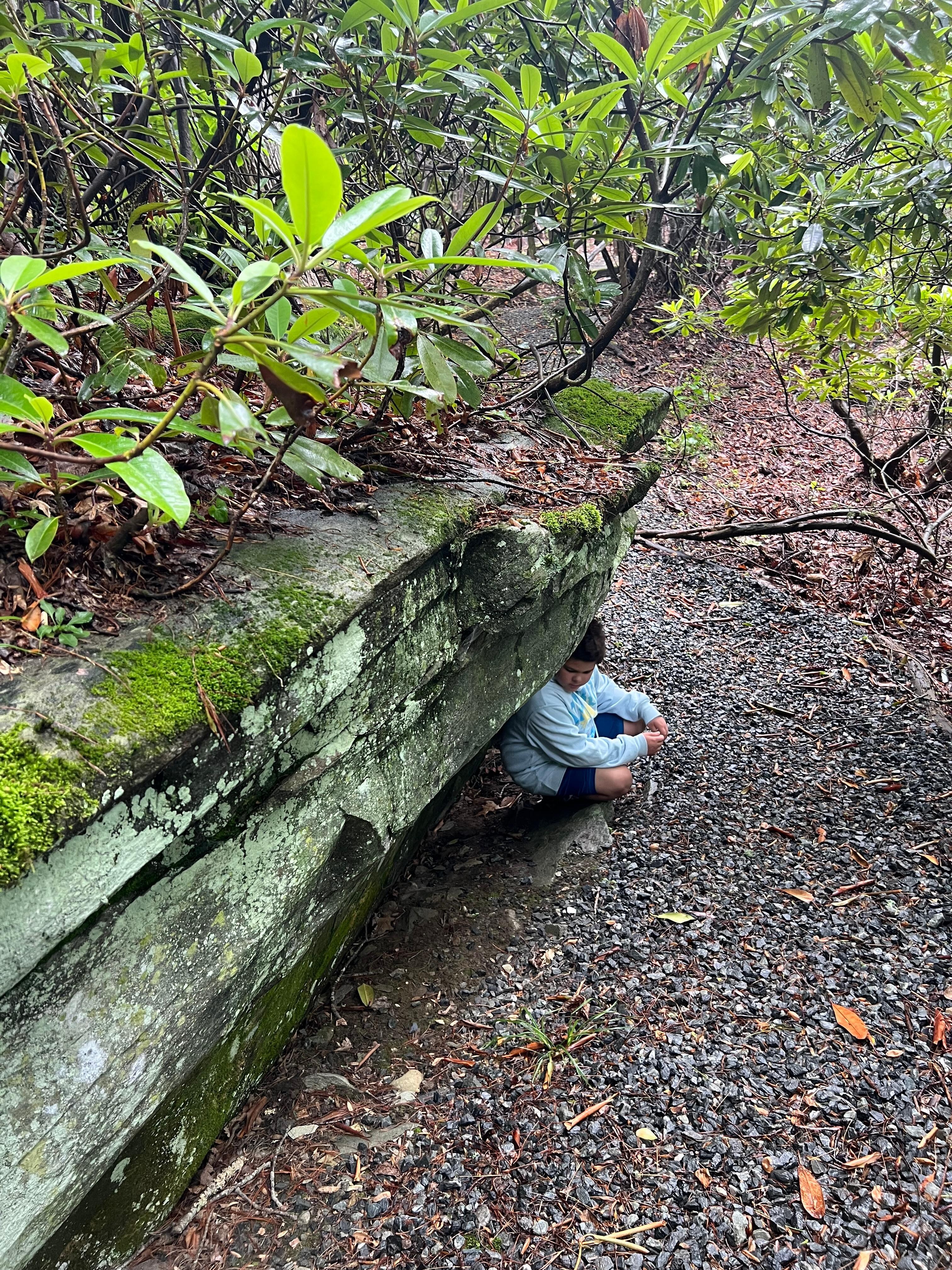 Trail