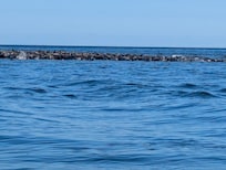 Seals
