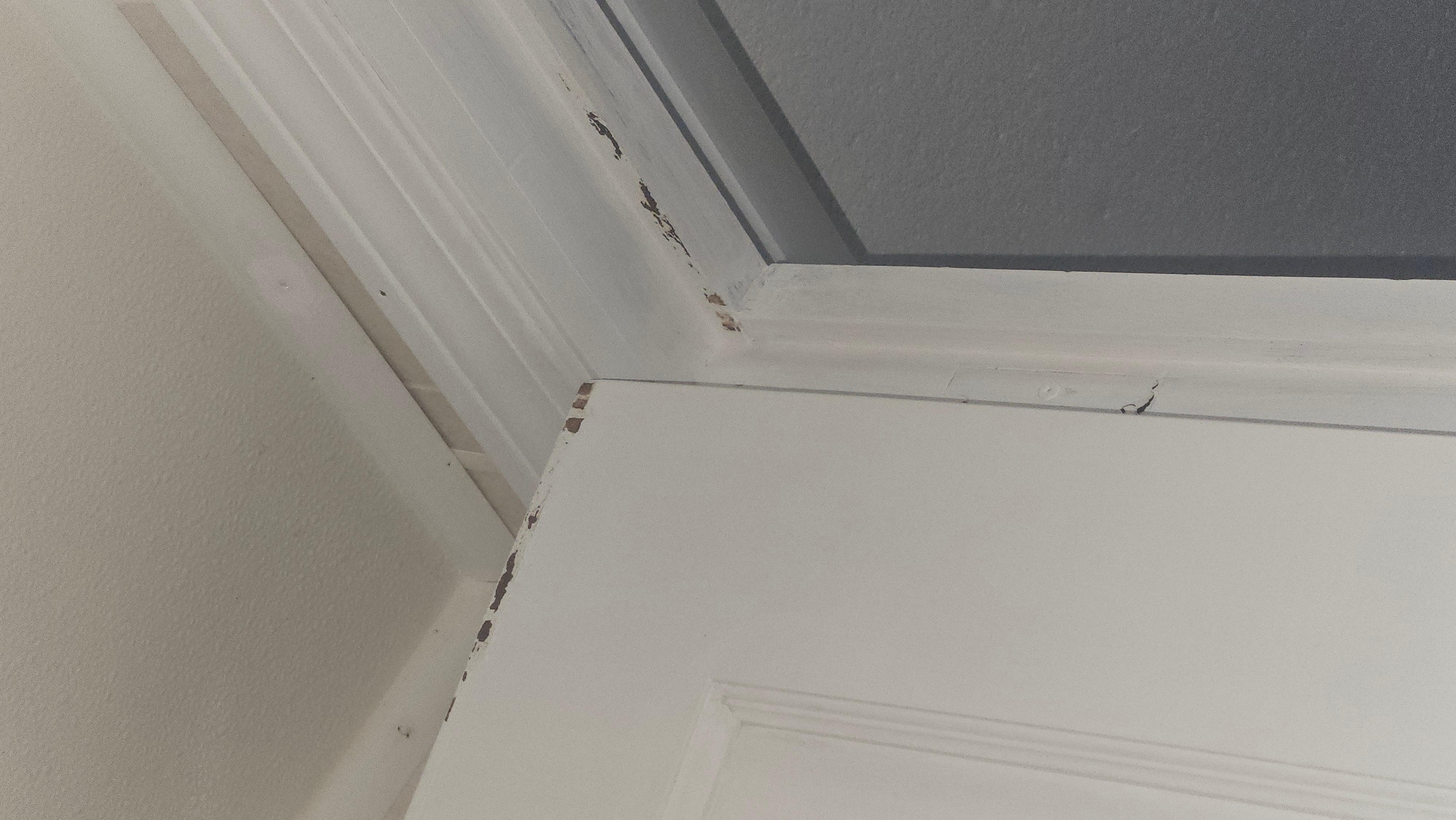 Peeling paint on the bathroom 