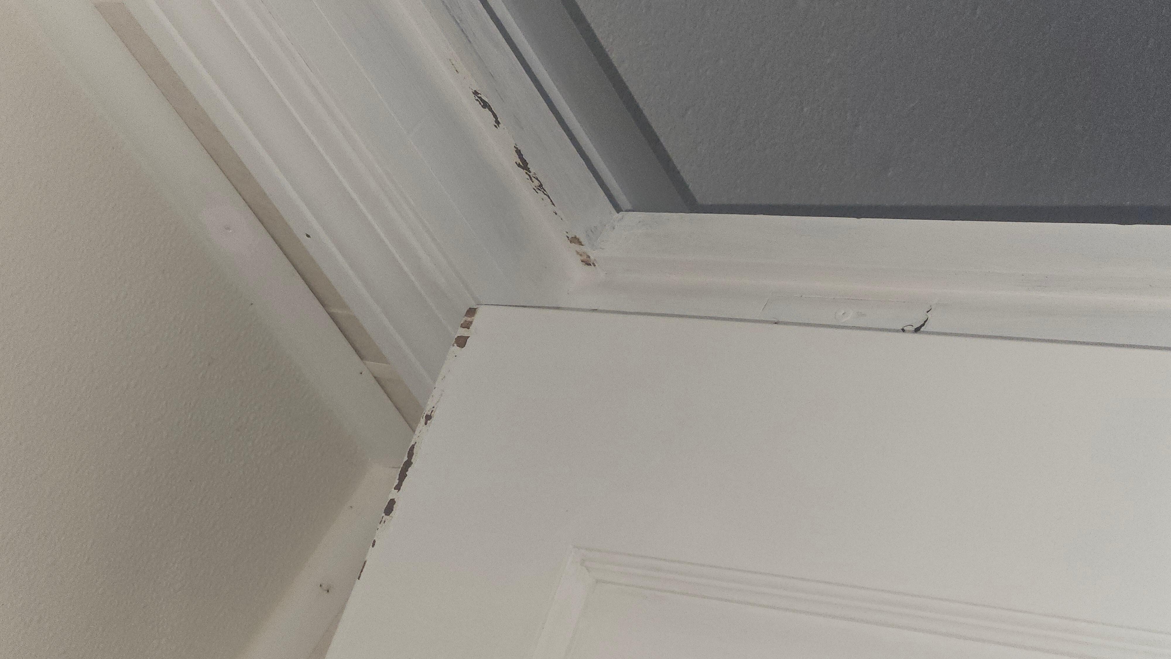 Peeling paint on the bathroom 