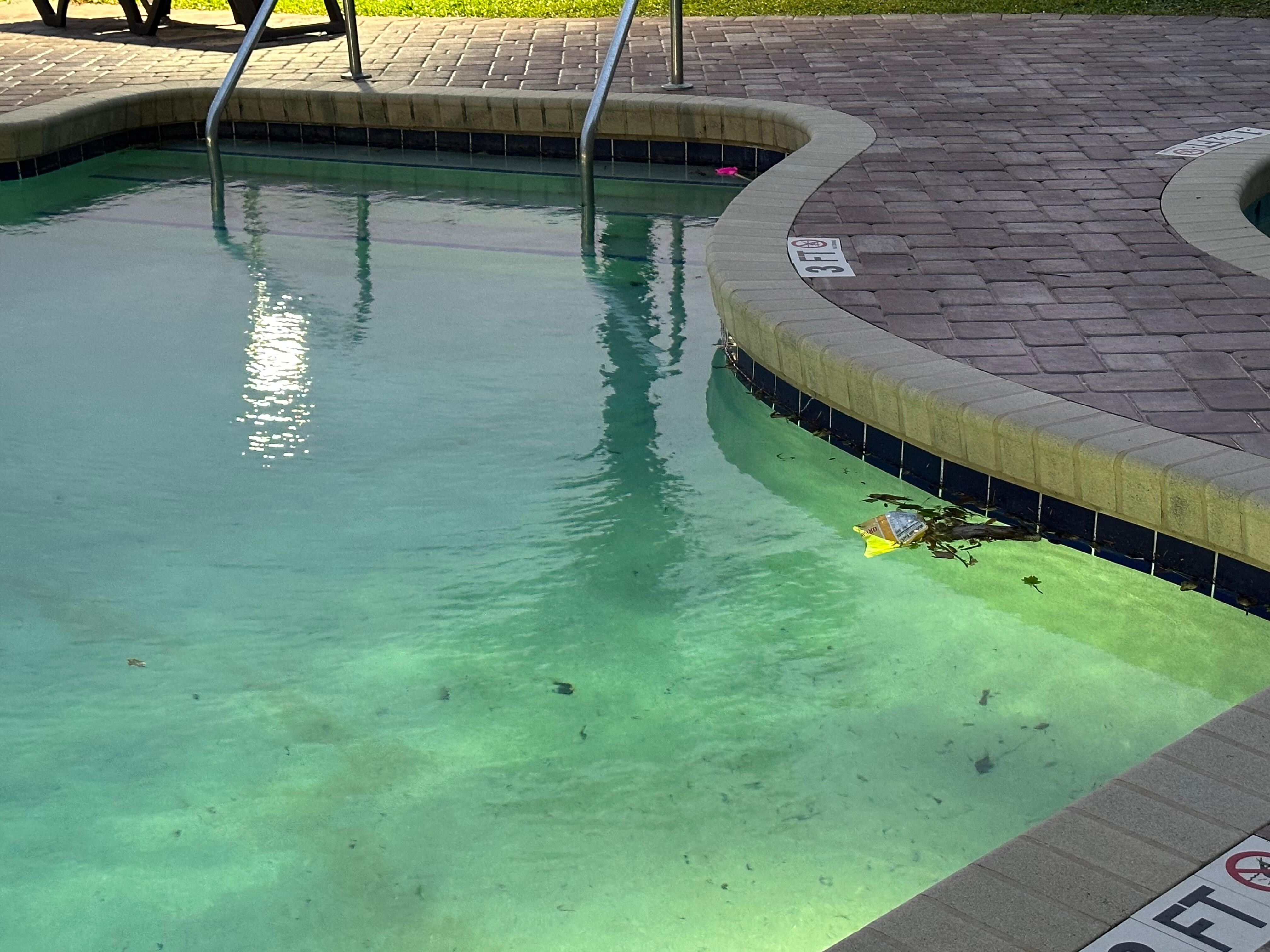 Trash in the green pool. 