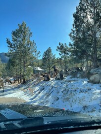 Elk lounging 2 doors down!