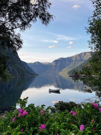 View from our window