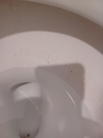 Dirty toilet.