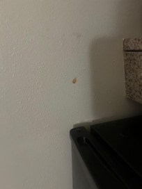 Food on the wall maybe ?