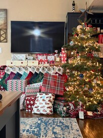 We spent Christmas here and put up a little tree.