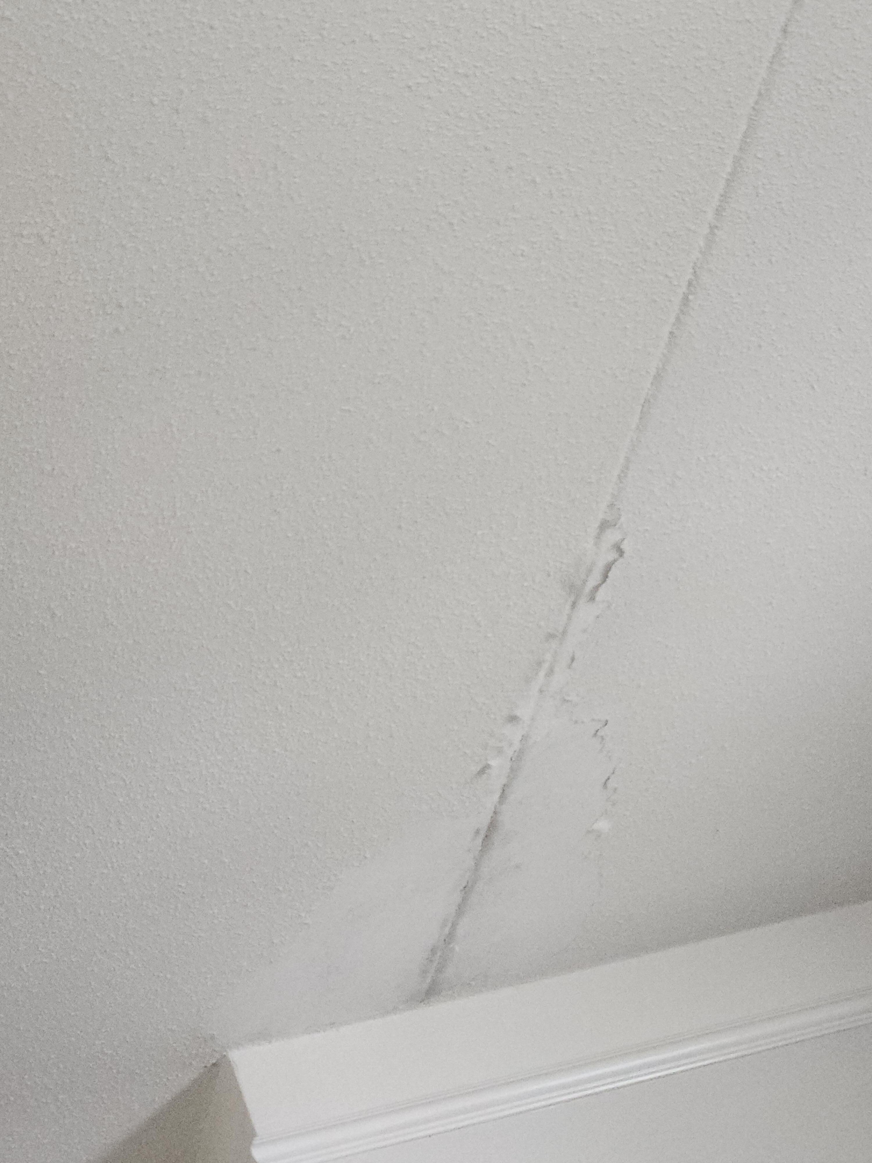 Ceiling peeling and possible mold