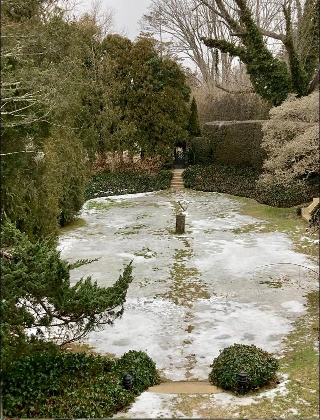 Garden view from room.