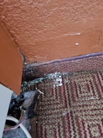 Mugrero y tierra en la alfombra que apestaba a humedad