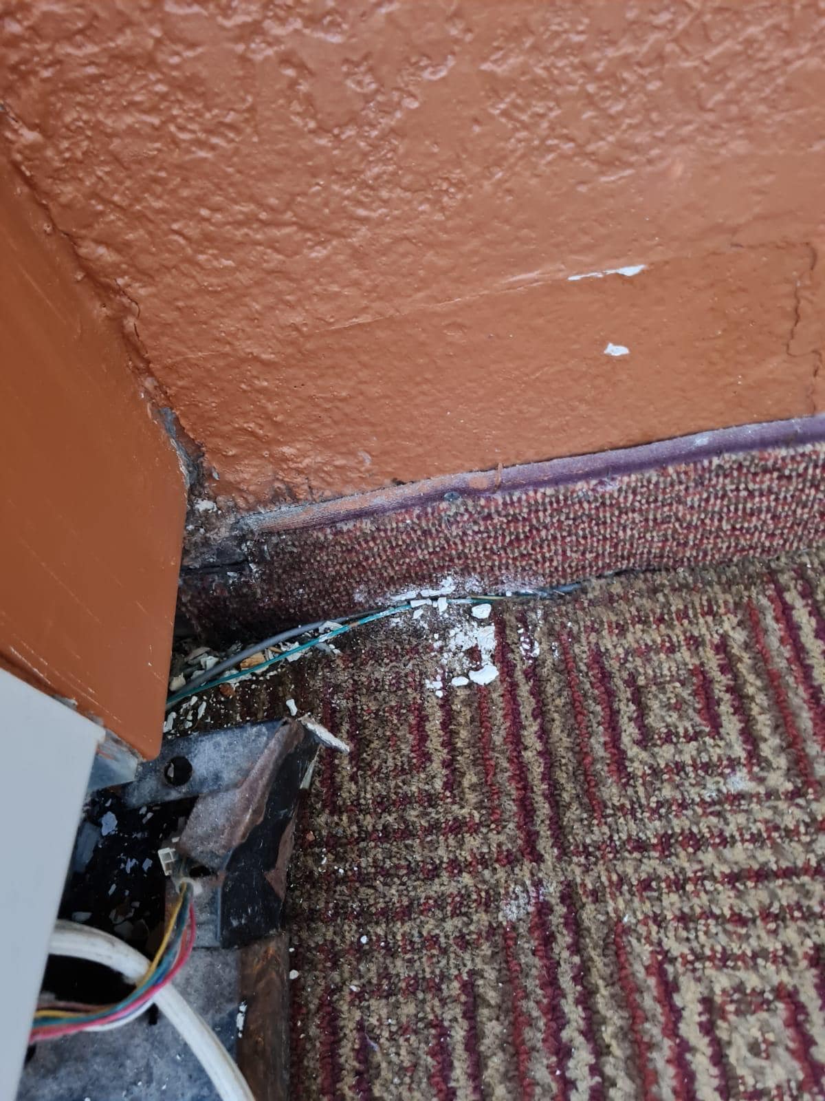 Mugrero y tierra en la alfombra que apestaba a humedad