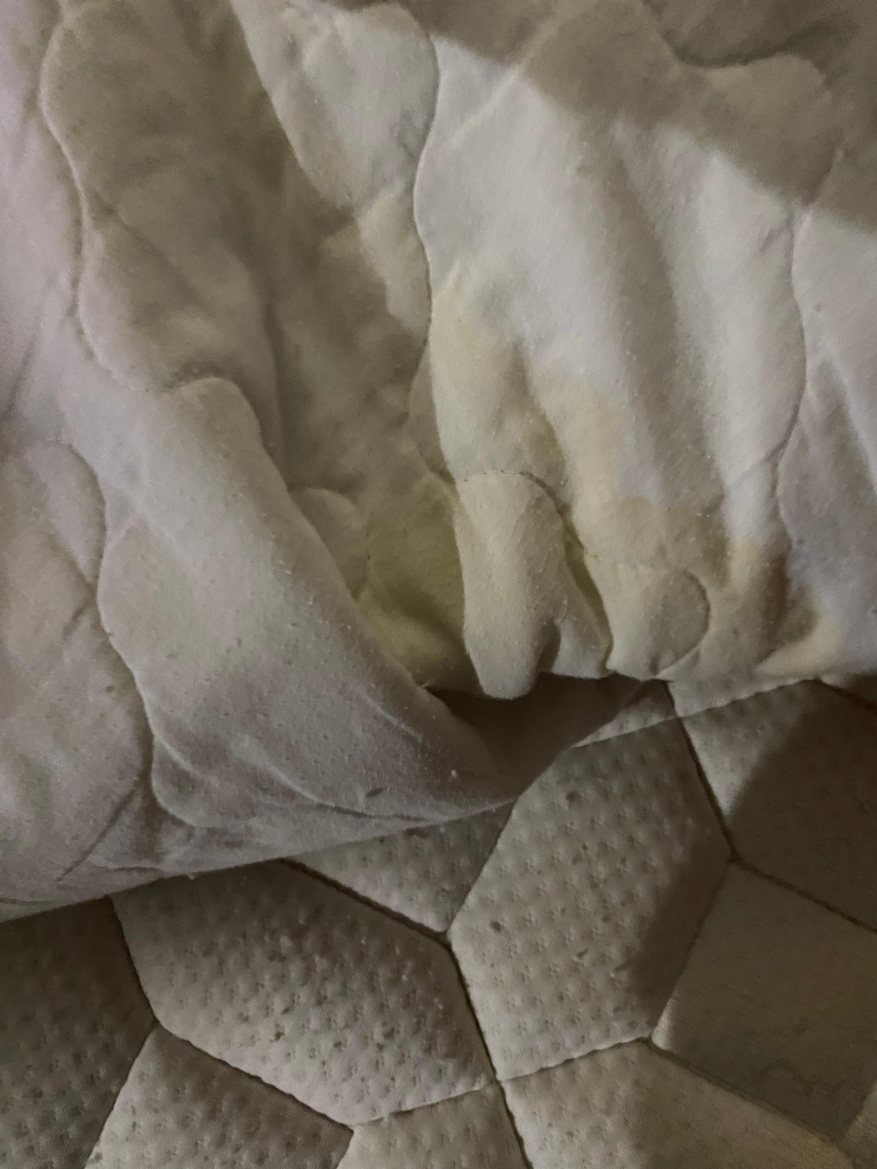 pee stain on mattress 