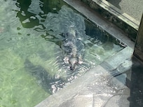 Seal Sanctuary.