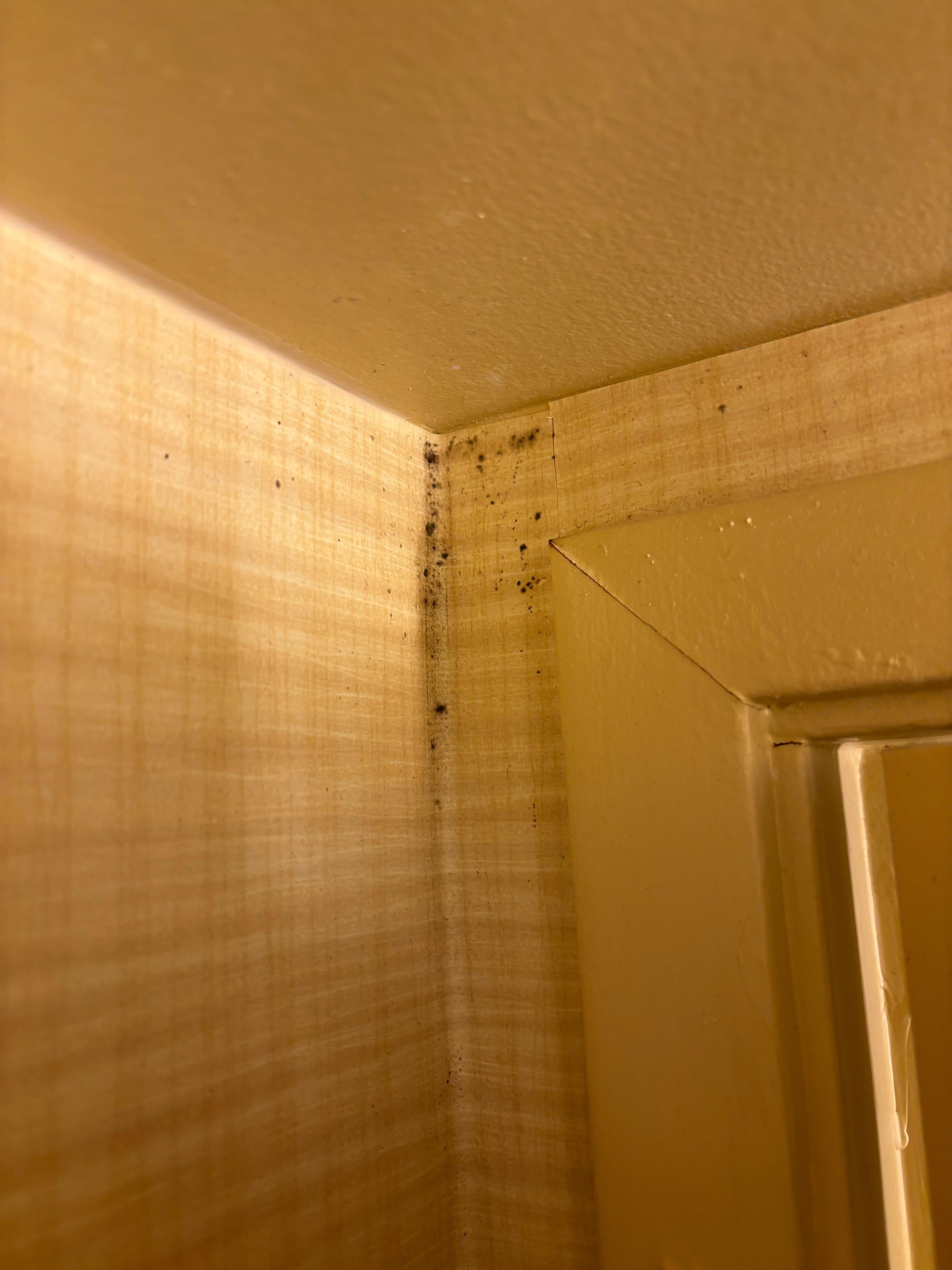 Mold in bathroom