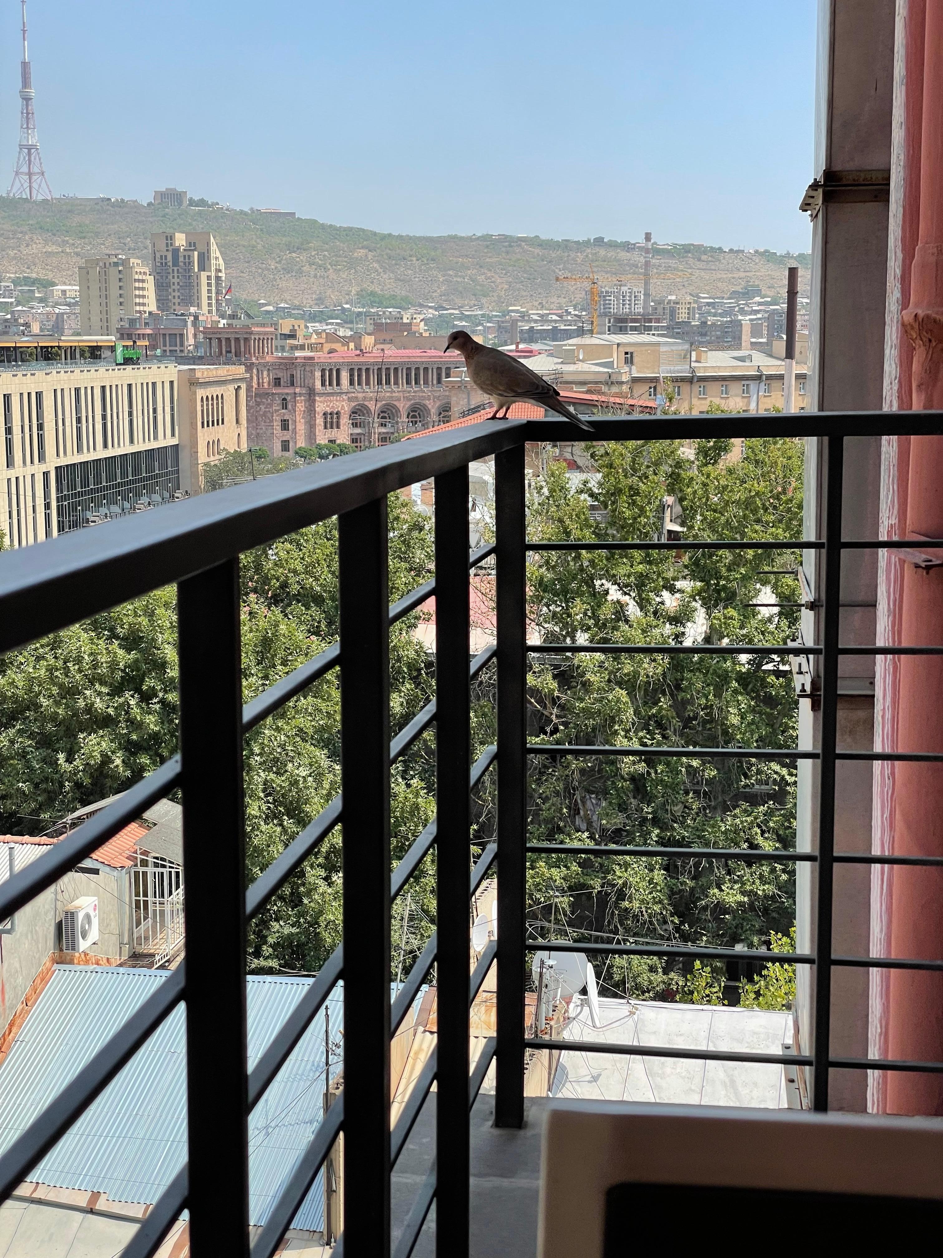 Utsikt från balkongen 