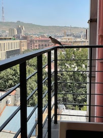 Utsikt från balkongen