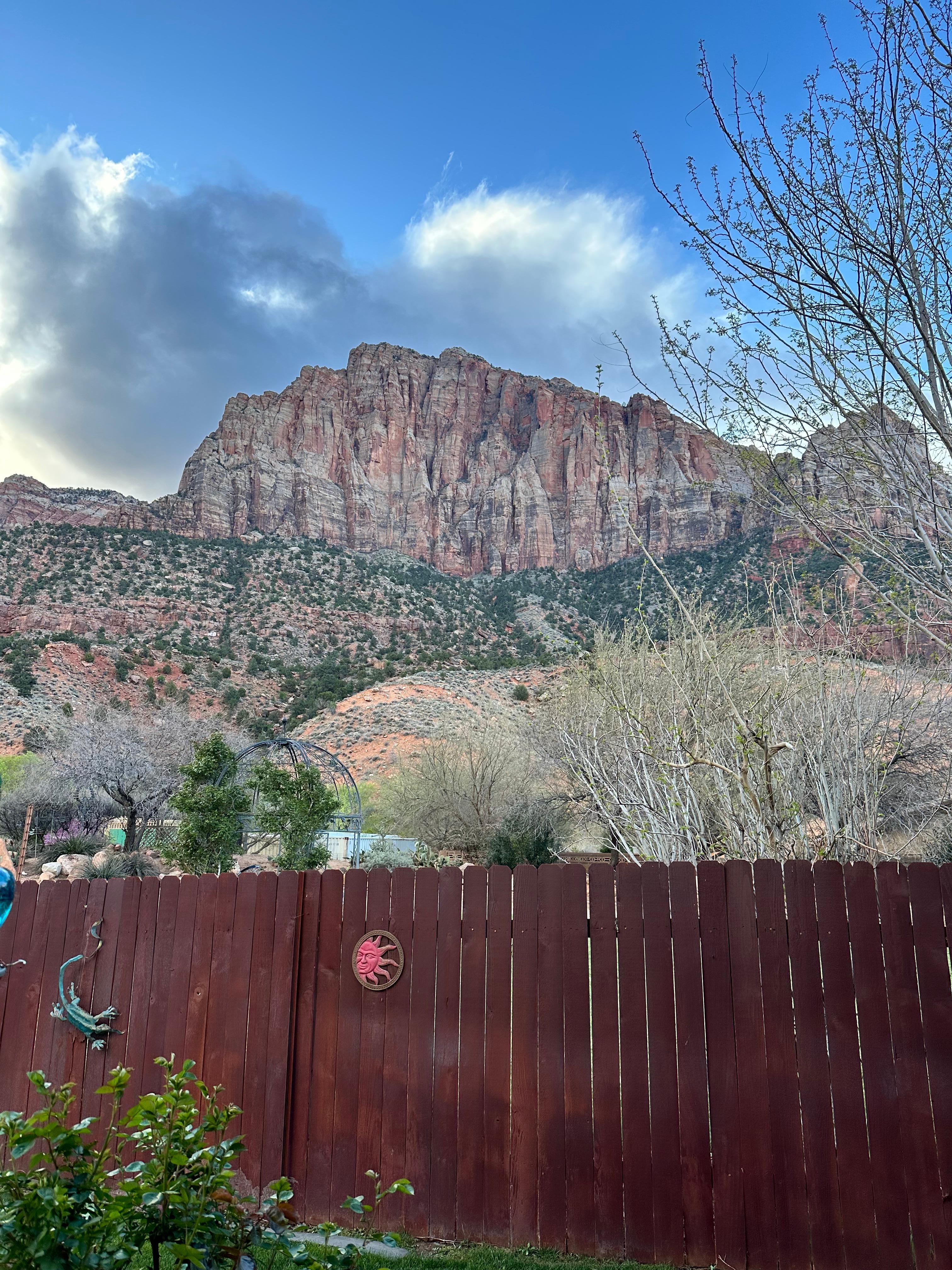 View from backyard 