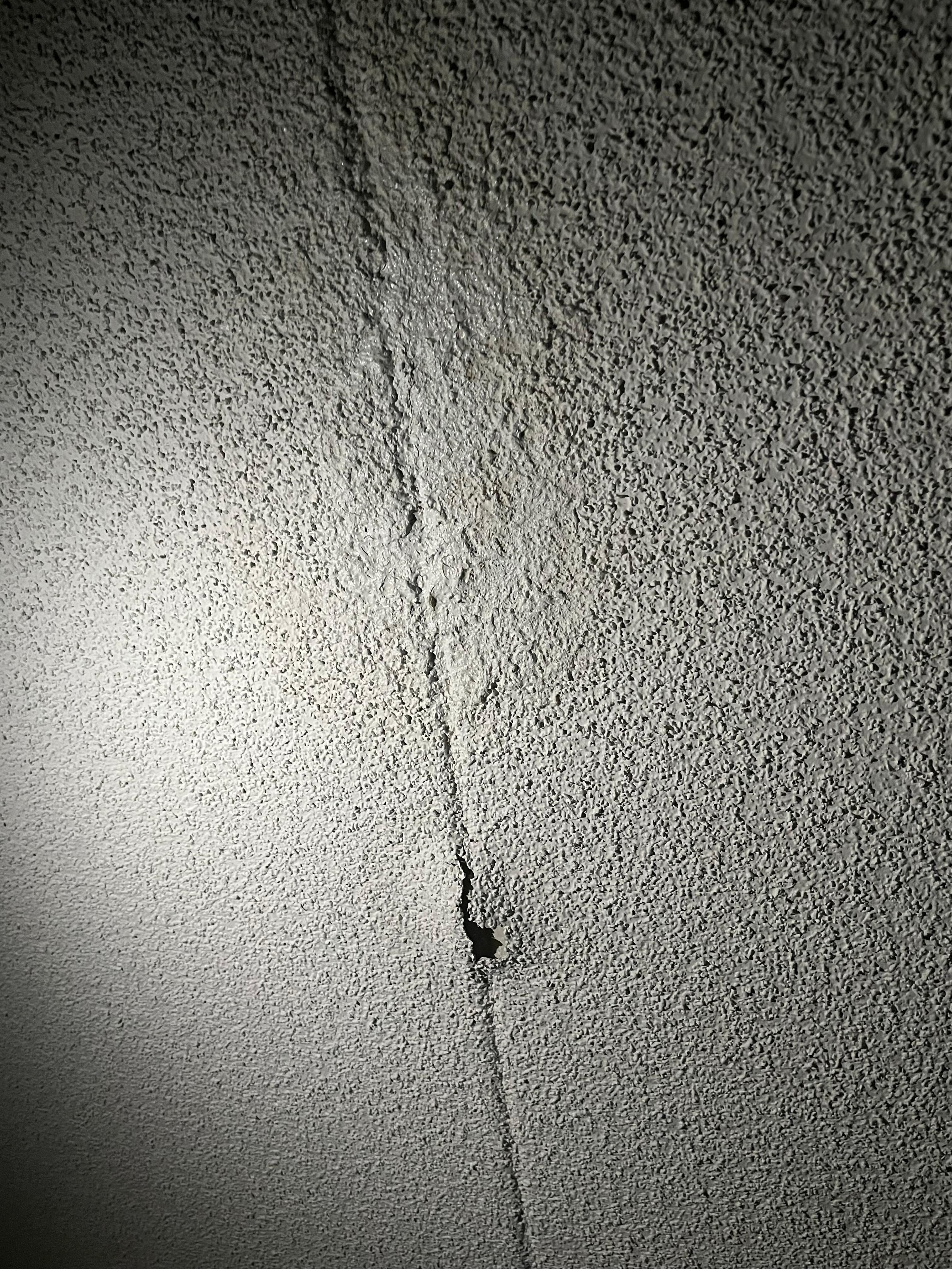 Unsanitary room conditions