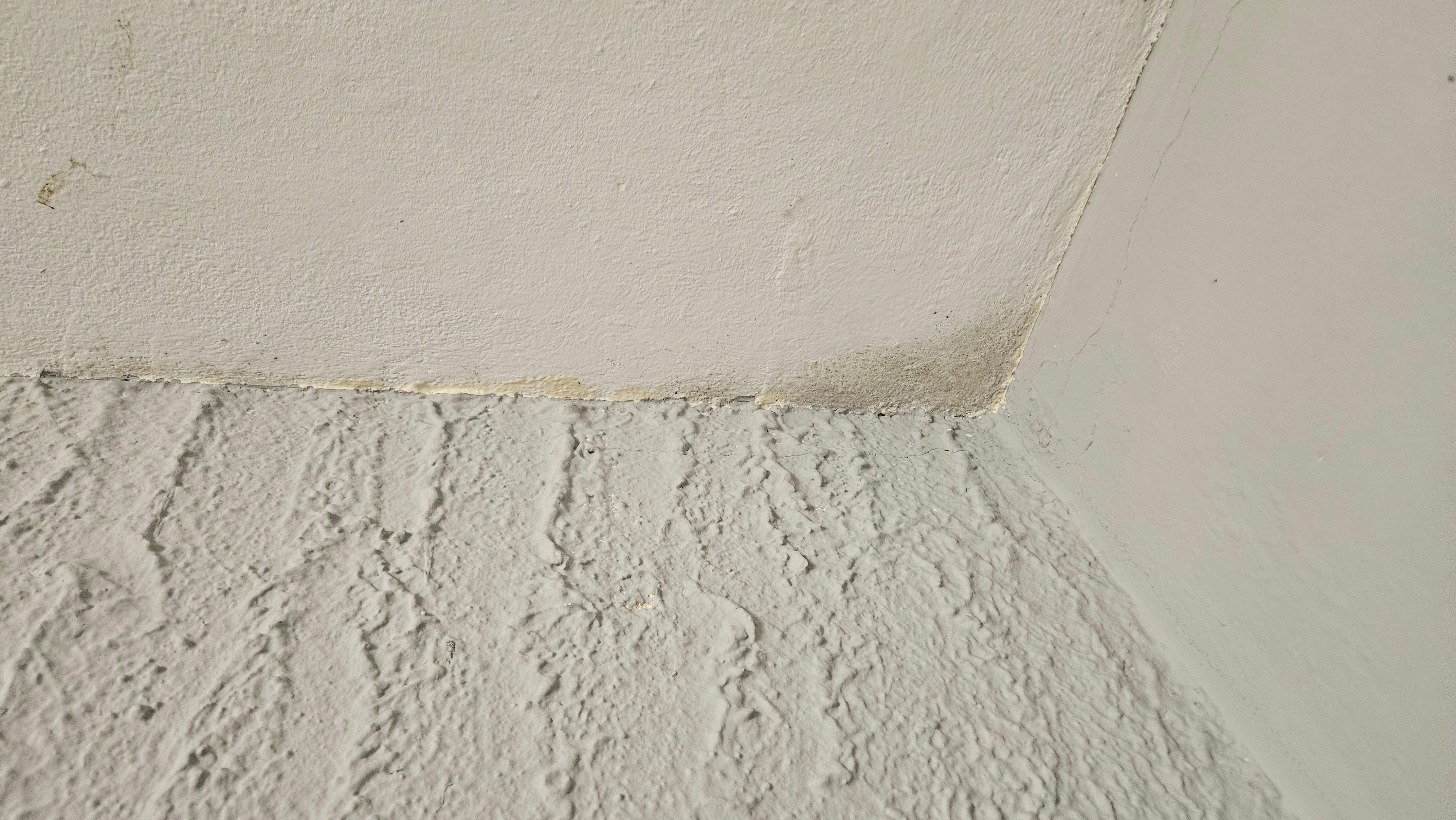 Potential mold in the bed room