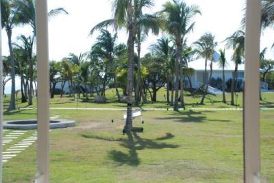 The view from the room