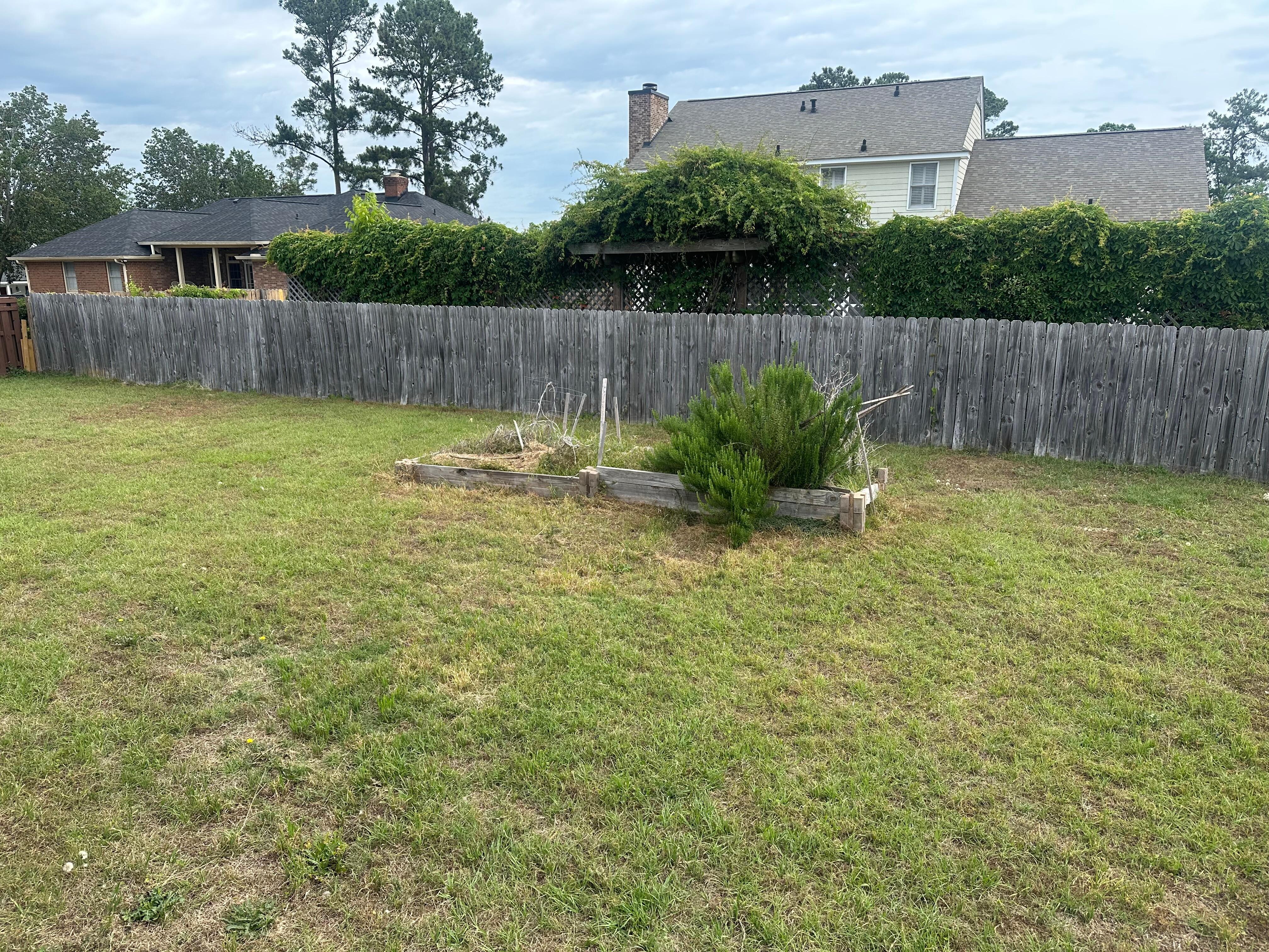 Overgrown planter in back yard.