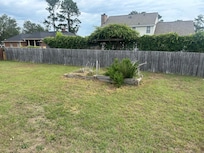 Overgrown planter in back yard.