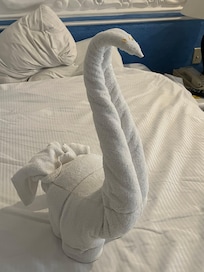 Our maid did some towel art for us