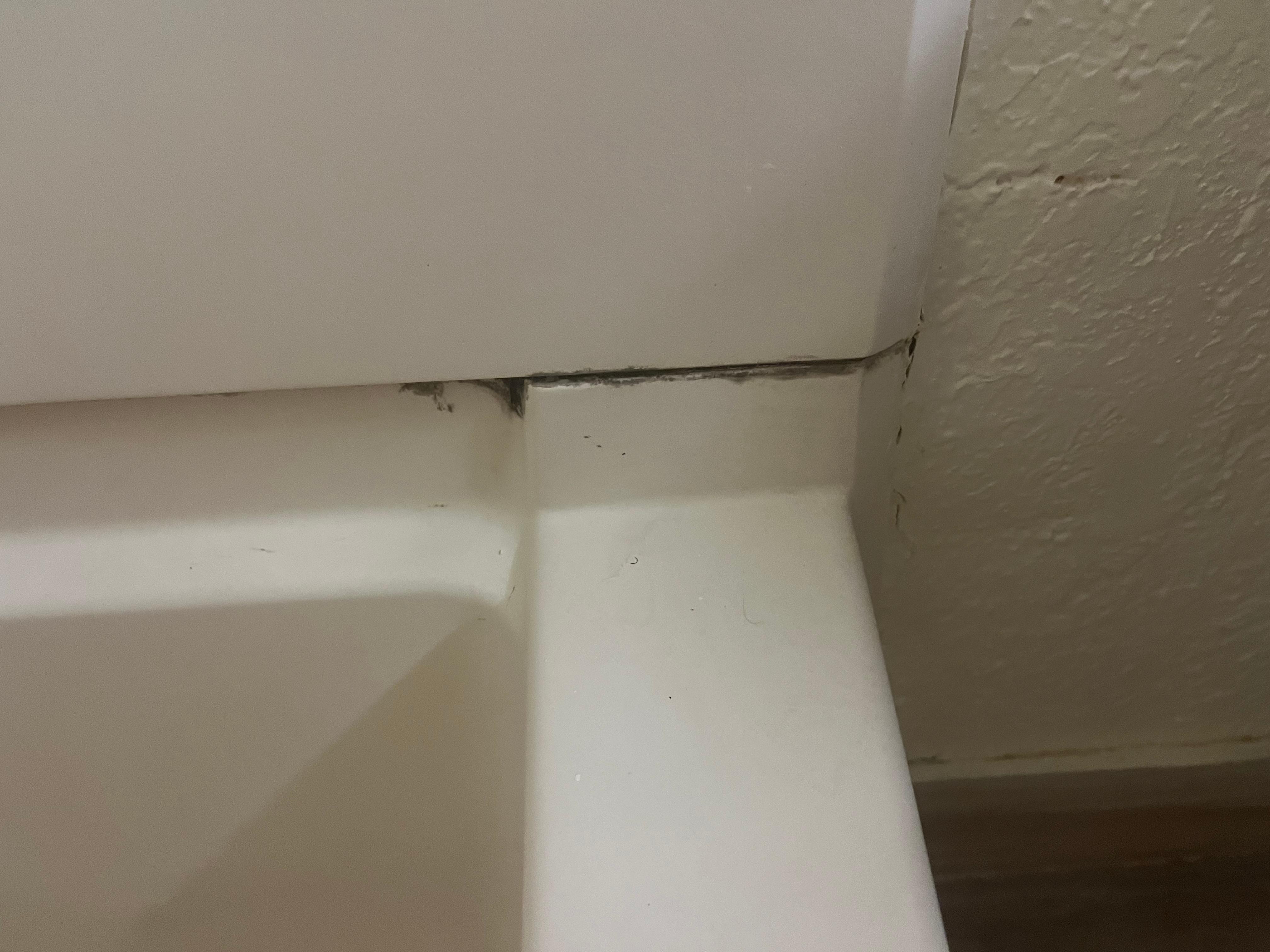 Black Mold in bathroom 