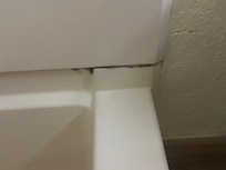 Black Mold in bathroom