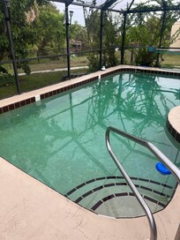 Algae all over pool walls and floor