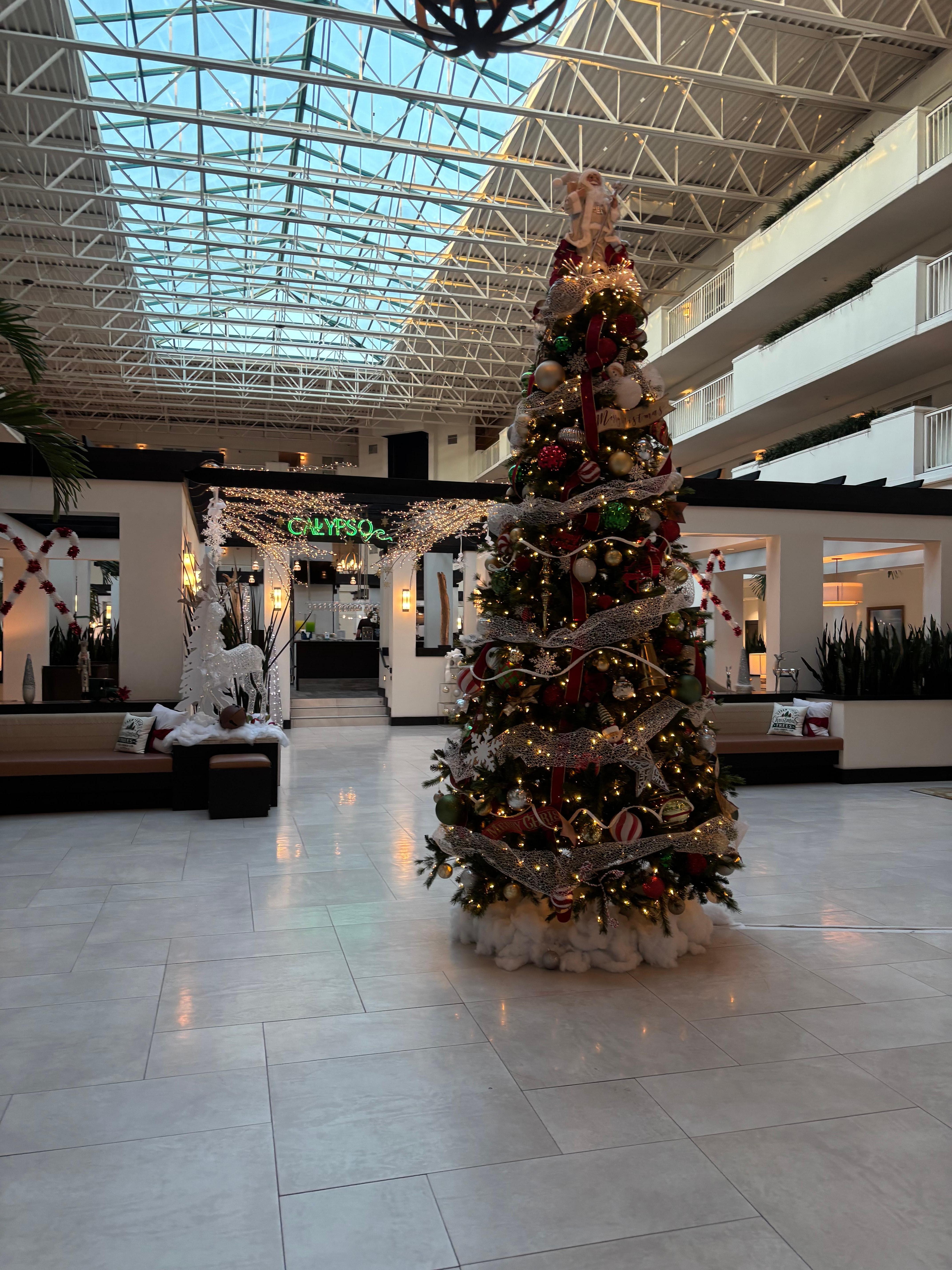 The inviting lobby area!