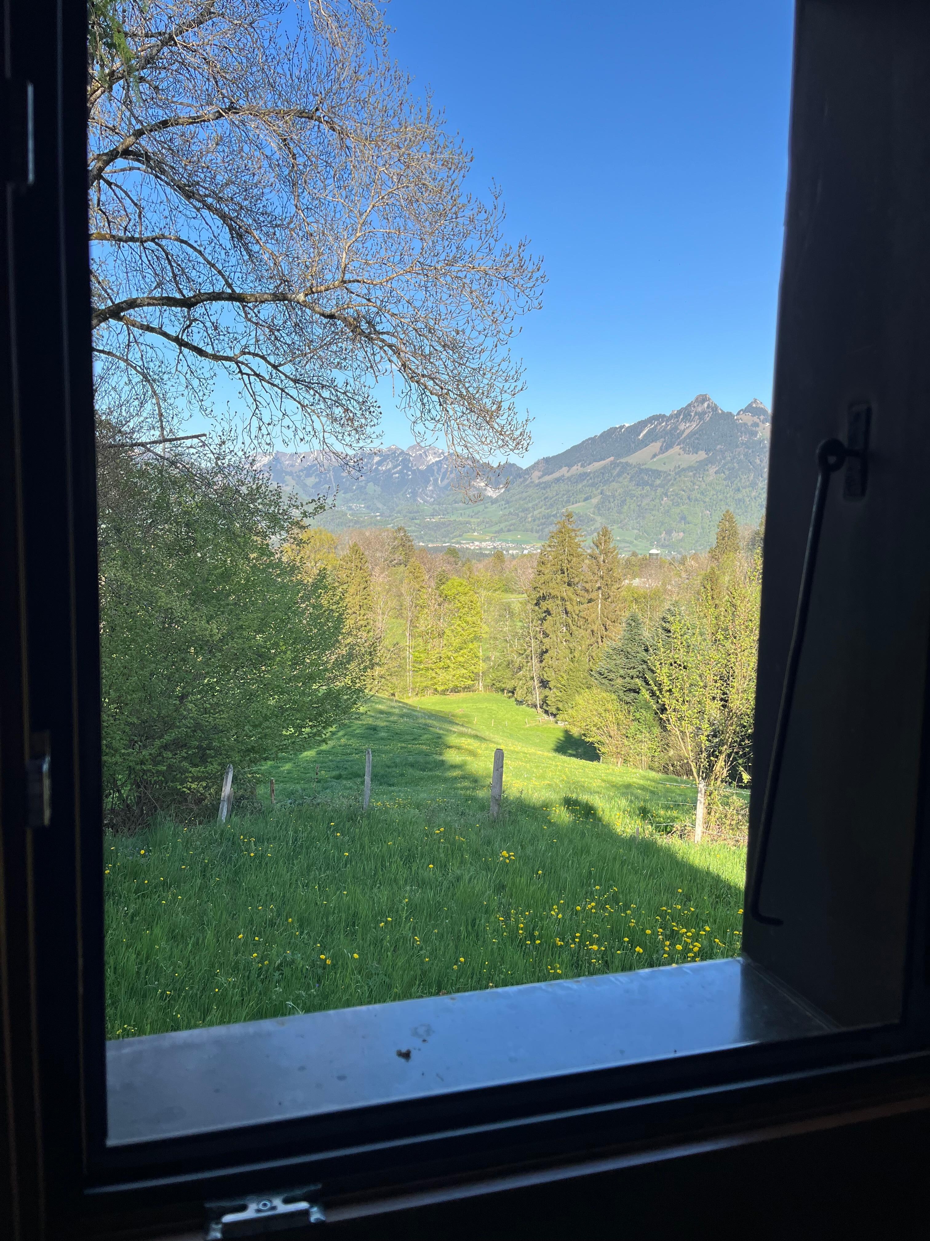 Vue depuis la fenêtre de la chambre 