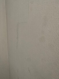 The walls