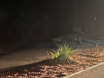 Dark driving…be watchful!