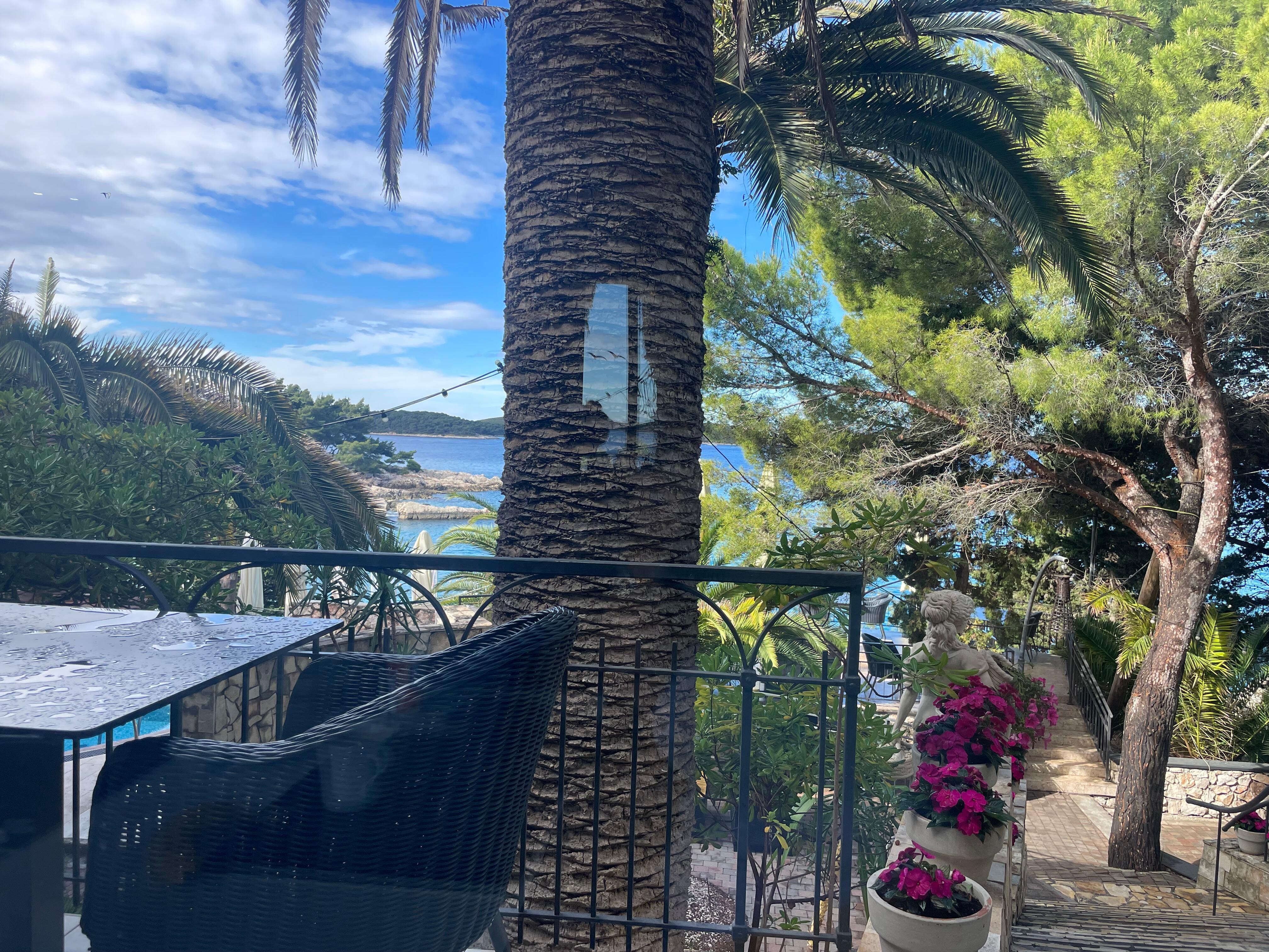 View from breakfast 
