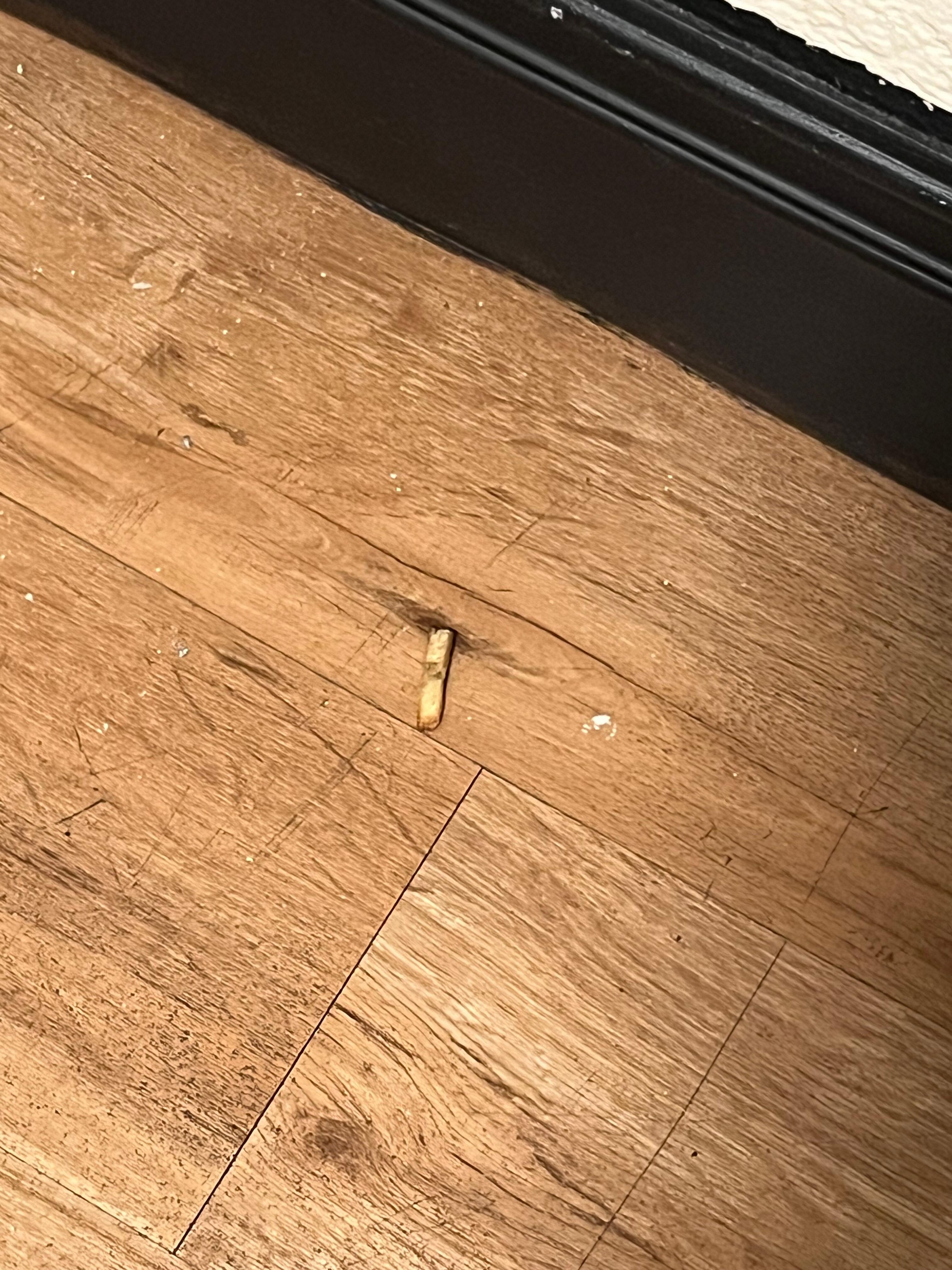 Fries left on the floor with dust