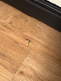 Fries left on the floor with dust