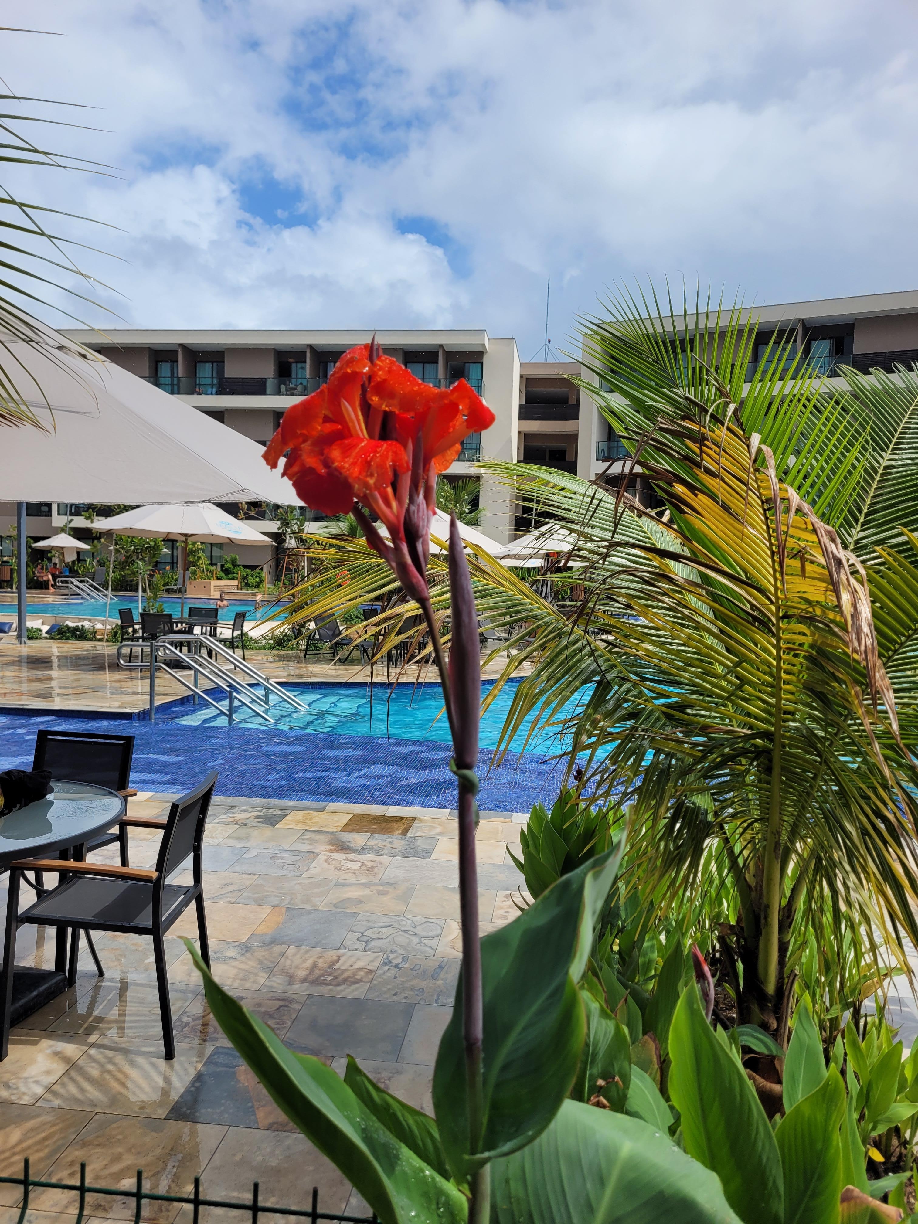 Bem arborizado com plantas belíssimas e som em todos os espaços do Resort.  