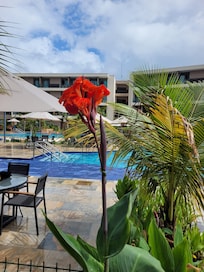 Bem arborizado com plantas belíssimas e som em todos os espaços do Resort.