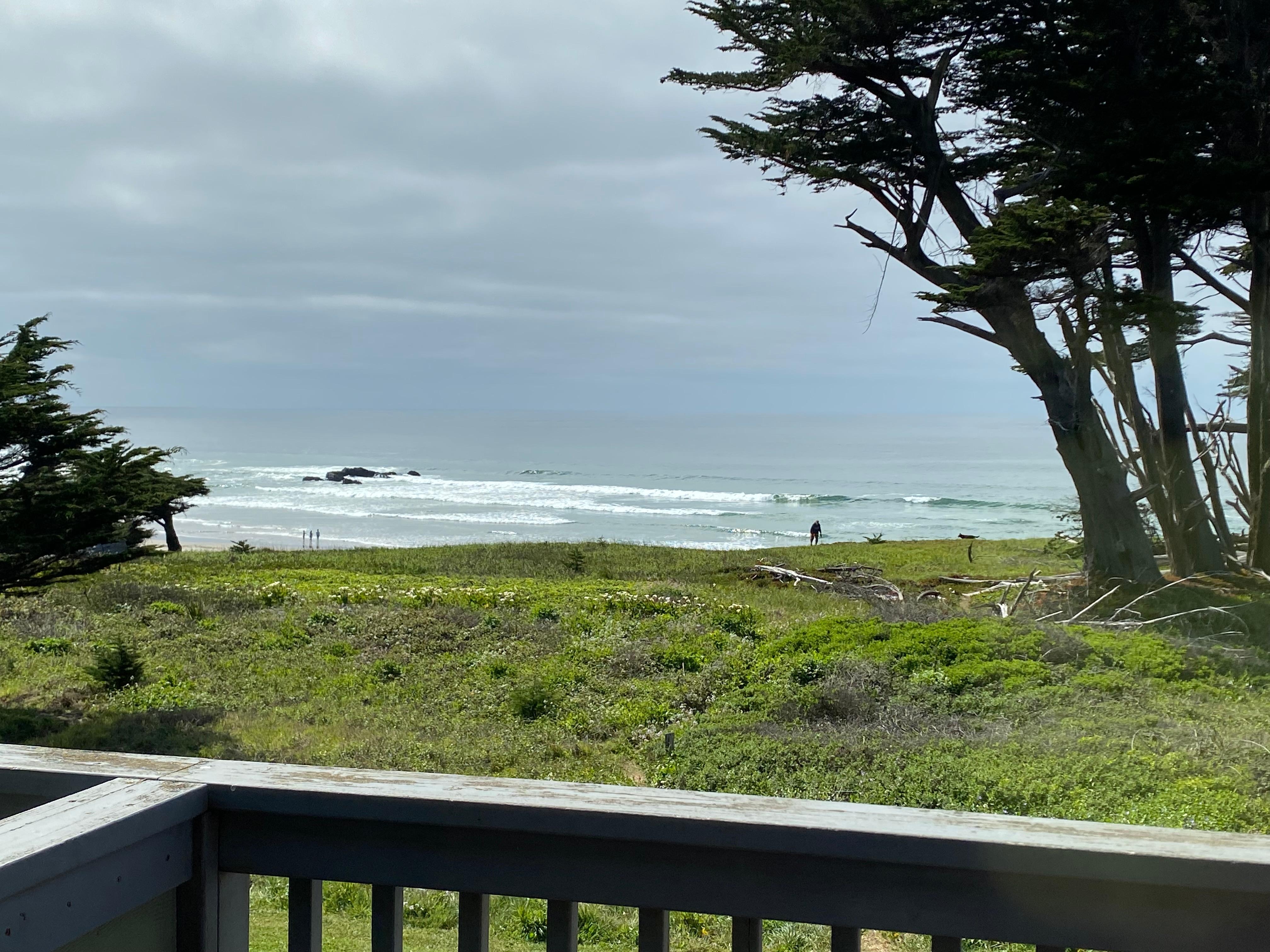 View from the room on second floor 