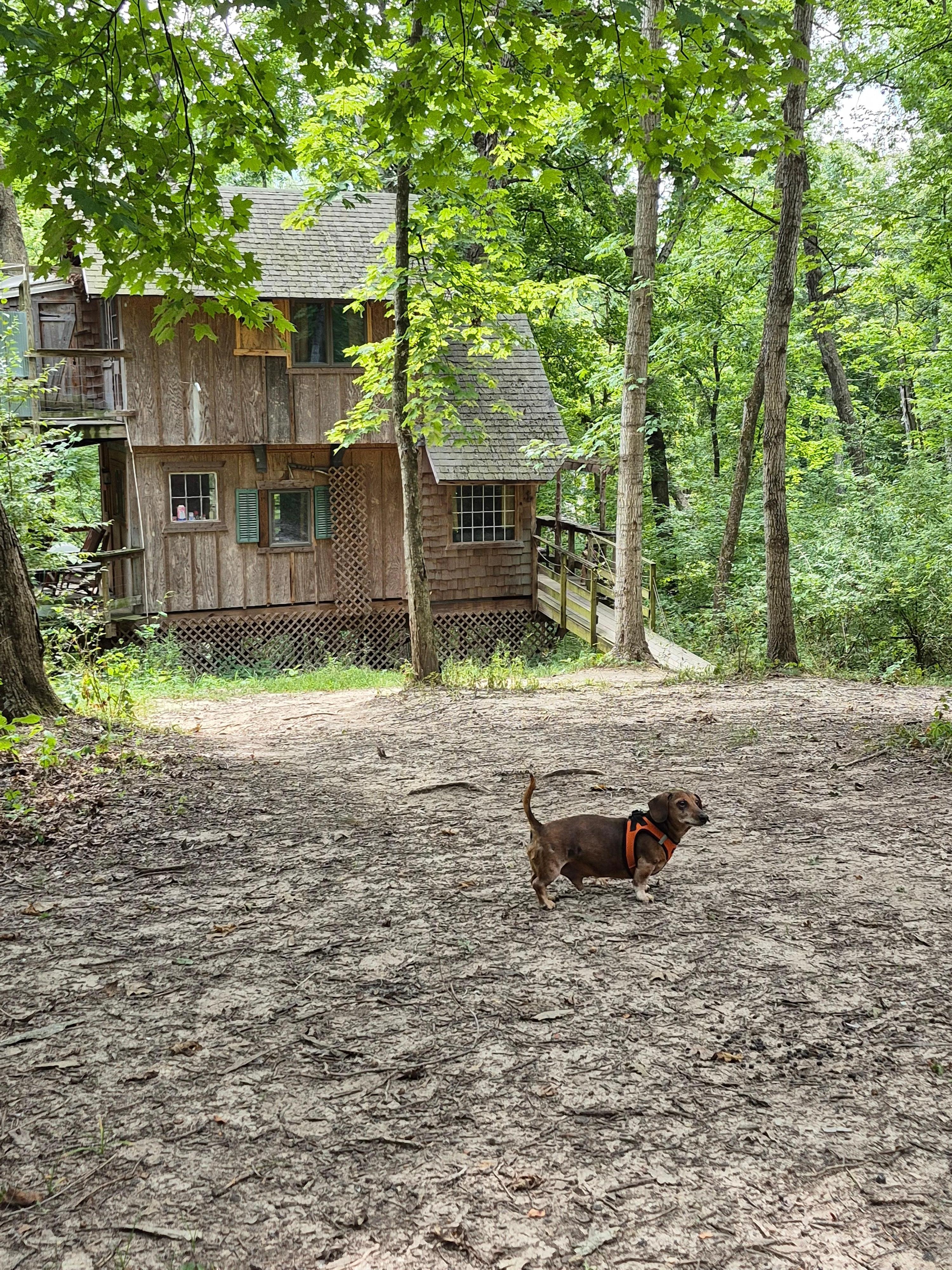 The baby having a blast!