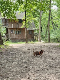 The baby having a blast!