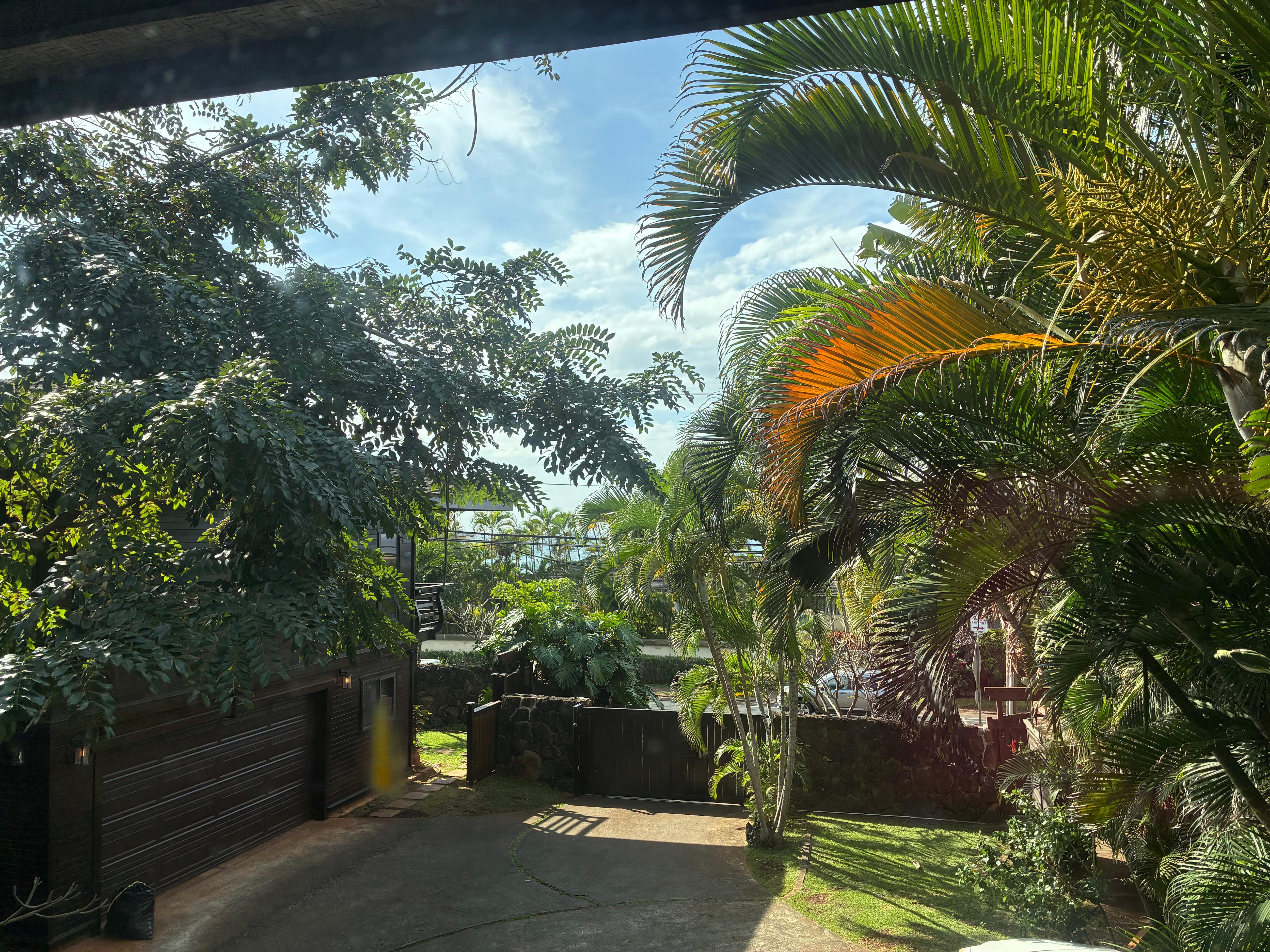 View from living room window. Ocean is there but hard to see in those photos!