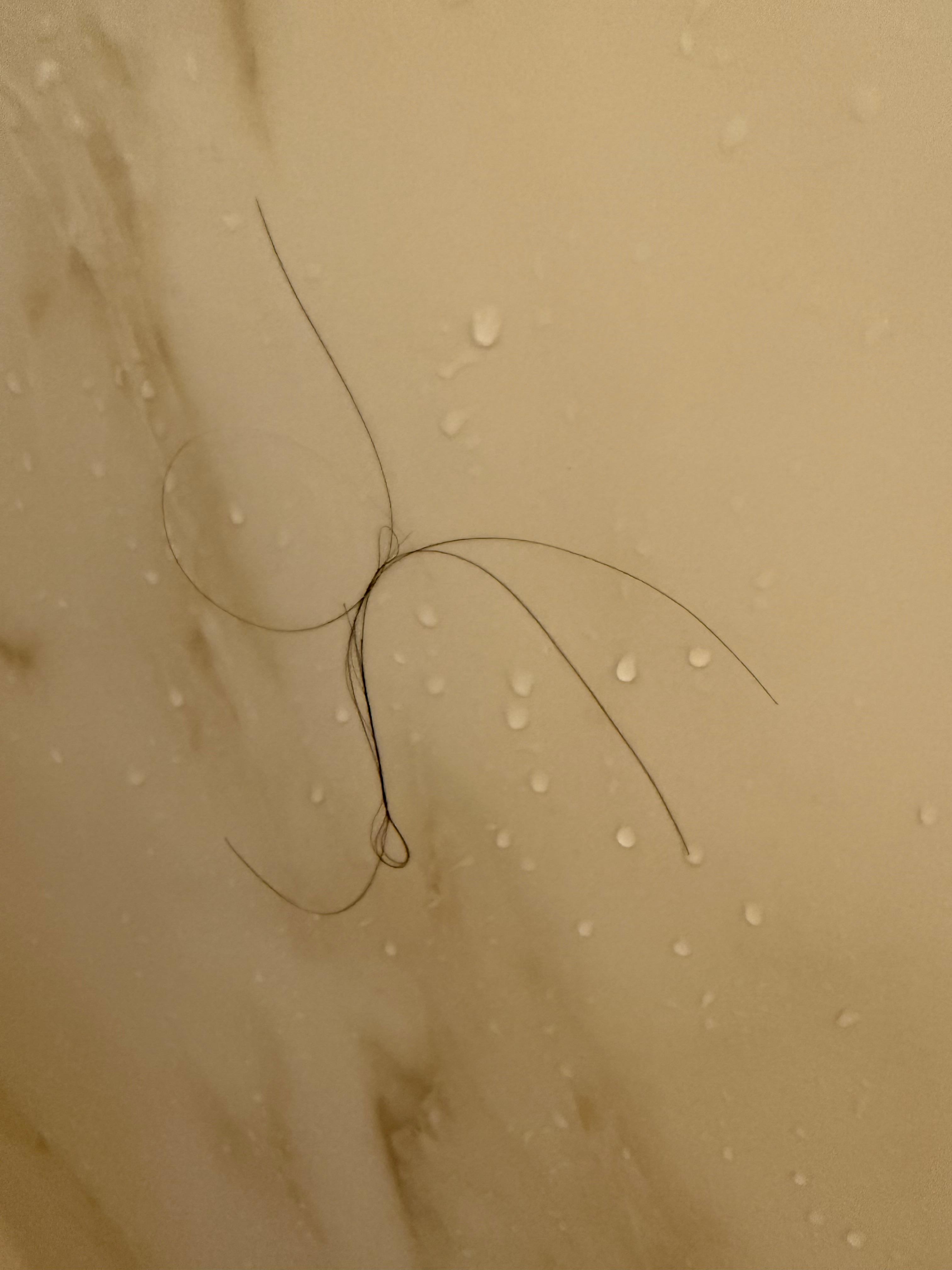 Hair in shower, both rooms we had, had hair left in the shower.