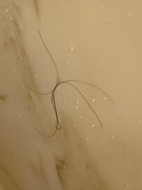 Hair in shower, both rooms we had, had hair left in the shower.