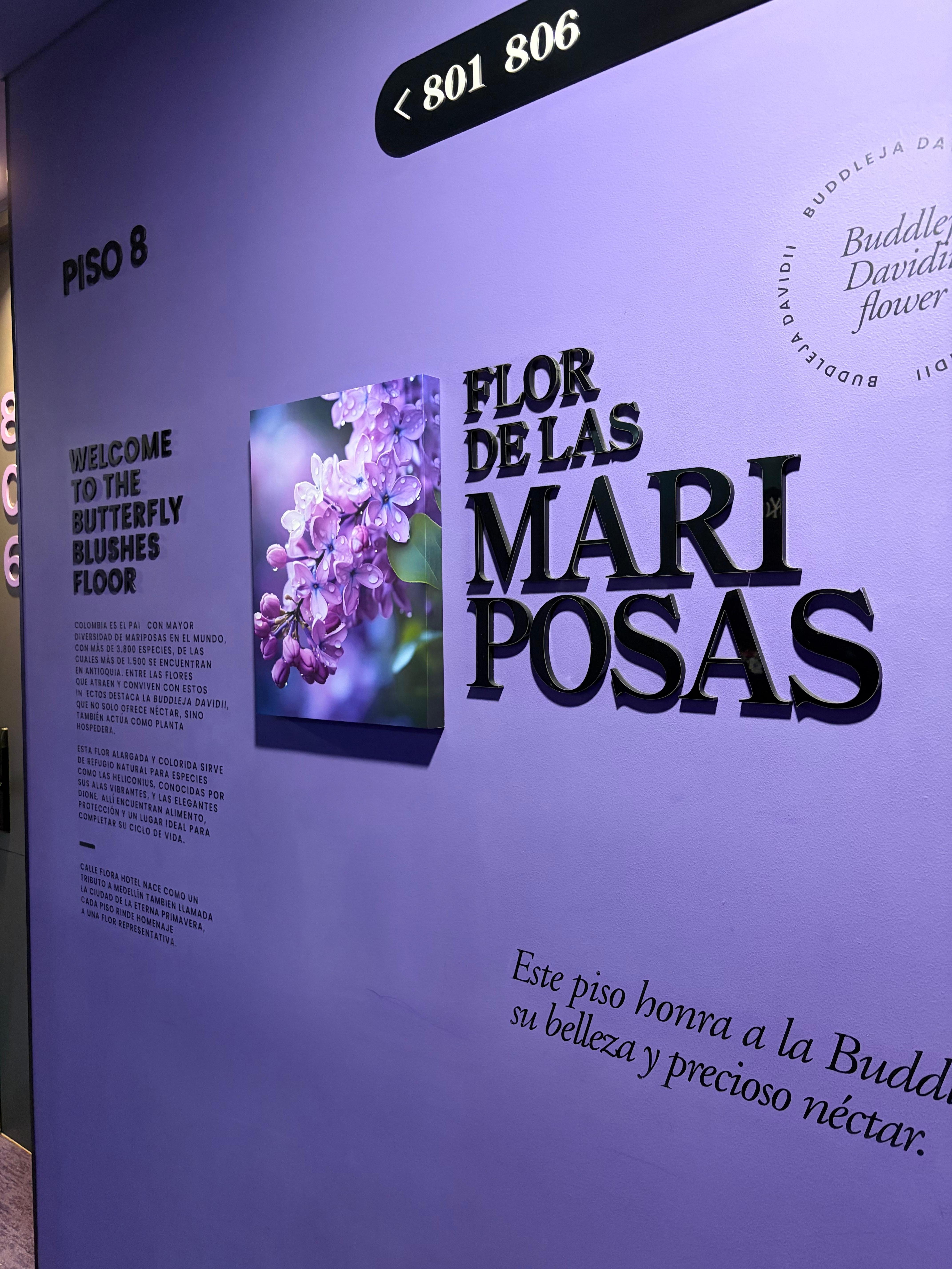 Color y flor del piso 8